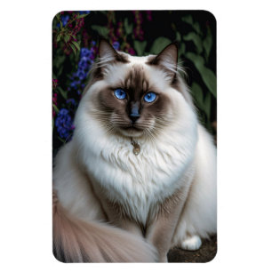 Birman Cat im Garden Magnet