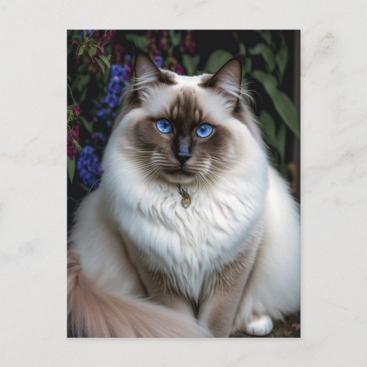 Birman Cat im Garten Postkarte (Vorderseite)