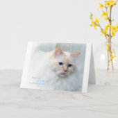 Birman Cat Karte (Gelbe Blume)
