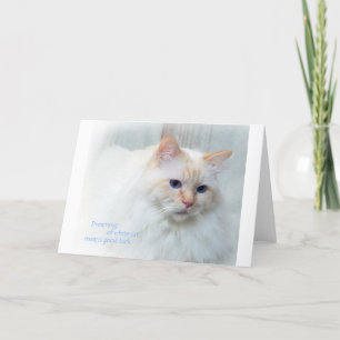Birman Cat Karte
