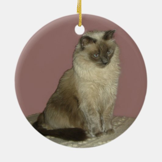 Birman Cat Keramik Ornament (Hinten)