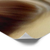 Birman Cat Poster (Ecke)