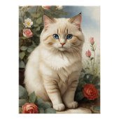 Birman Cat Poster (Vorderseite)