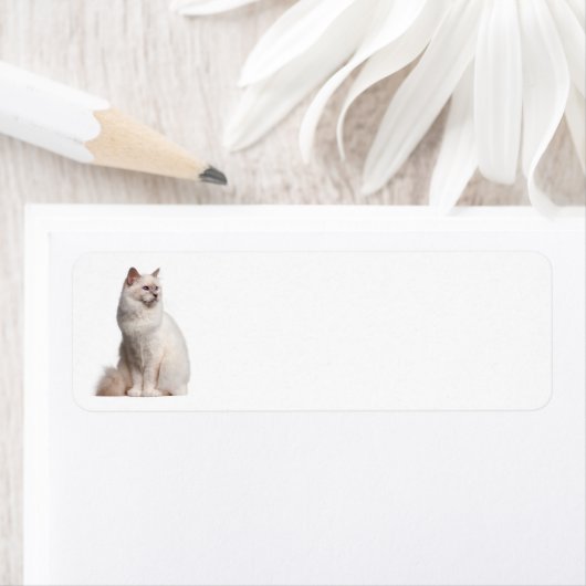 Birman Cat Return Address Label (Insitu)