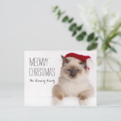 Birman Cat Santa Feiertagspostkarte (Stehend Vorderseite)