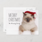 Birman Cat Santa Feiertagspostkarte (Vorne/Hinten)