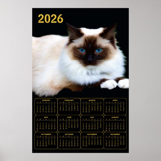 Birman-Katze 2026 Kalender Poster (Vorne)