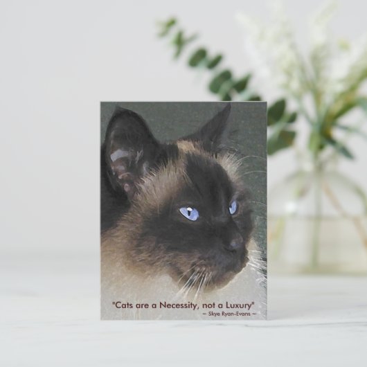 BIRMAN RAGDOLL CAT Collection Postkarte (Stehend Vorderseite)