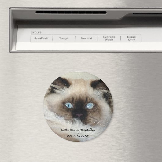 Birman - Ragdoll Cat Lover Magnet (In Situ (Geschirrspüler))