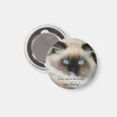 Birman - Ragdoll Cat Lover Magnet (Vorderseite/Rückseite)
