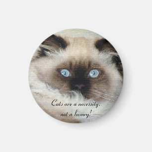 Birman - Ragdoll Cat Lover Magnet