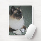 BIRMAN - RAGDOLL CAT Mousepad (Mit Mouse)