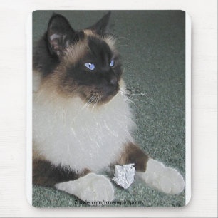 BIRMAN - RAGDOLL CAT Mousepad