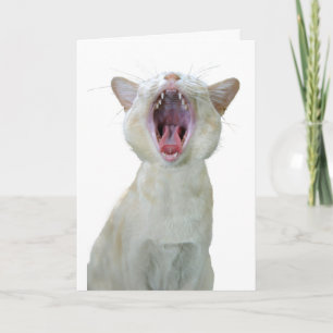 Birmanische Katze - Geburtstagskarte Karte