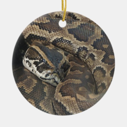 Birmanische Pythonschlange Keramik Ornament (Vorne)