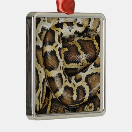 Birmanische Pythonschlange Ornament Aus Metall (Rechts)