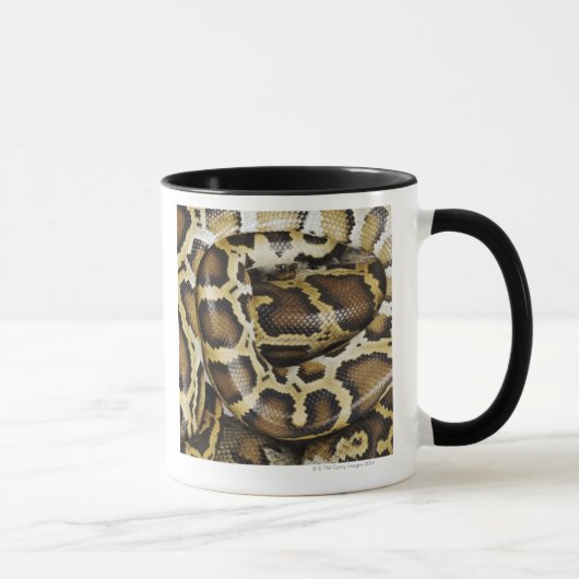 Birmanische Pythonschlange Tasse (Rechts)
