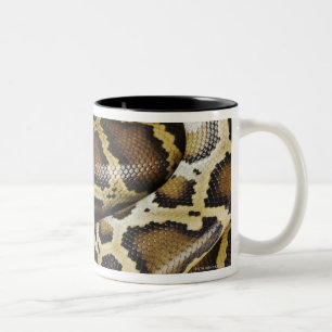 Birmanische Pythonschlange Zweifarbige Tasse