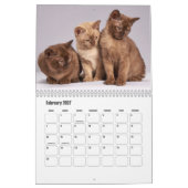 birmanischer Kalender (Feb 2027)