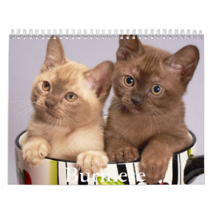 birmanischer Kalender