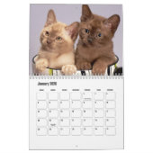 birmanischer Kalender (Jan 2026)
