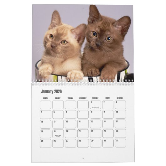 birmanischer Kalender (Jan 2026)