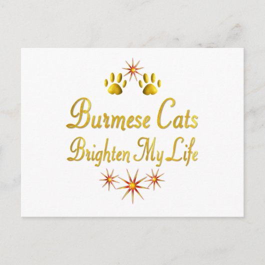 Birmankatzen Brighen Mein Leben Postkarte (Vorderseite)