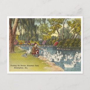 Birmingham Alabama Vintage Avondale Park Postkarte
