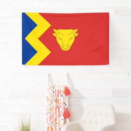 Birmingham City Flag Banner (Insitu)