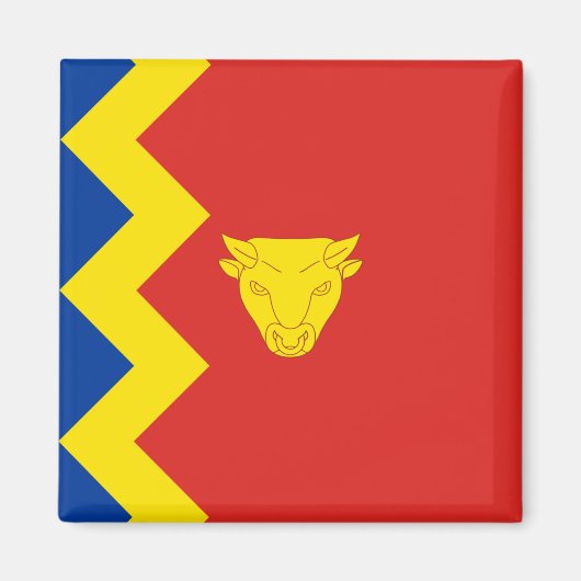 Birmingham City Flag Magnet (Vorne)