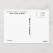 Birmingham Lily Pond Postkarte (Rückseite)