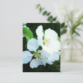 Birnbaum-Blume Postkarte (Stehend Vorderseite)