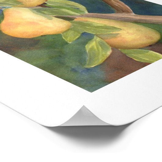 "Birnbaum" Poster (Ecke)