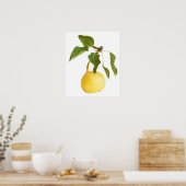 Birne Poster (Küche)
