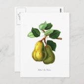 Birne Postkarte (Vorne/Hinten)