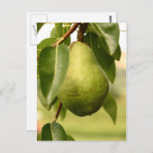 Birne Postkarte (Vorne/Hinten)