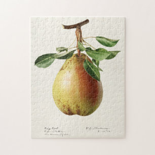 Birne (Pyrus Communis) Frucht Aquarellmalerei Puzzle