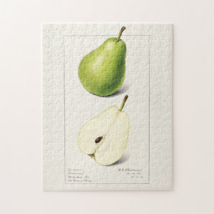 Birne (Pyrus Communis) Frucht Aquarellmalerei Puzzle