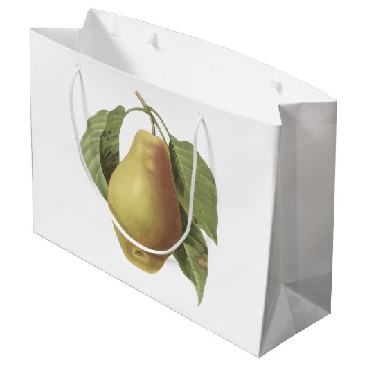 Birne (Pyrus-SP.) durch Redouté Große Geschenktüte (Rückseite Schrägansicht)