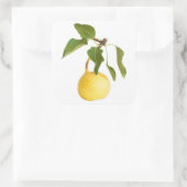 Birne Quadratischer Aufkleber (Tasche)