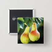 Birnen am Baum Foto Button (Vorne & Hinten)