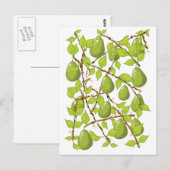 Birnen anbauen postkarte (Vorne/Hinten)