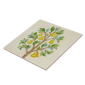 Birnen-Baumwandfliese Fliese (Seite)