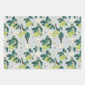 Birnen & Bienen im botanischen Garten Geschenkpapier Set (Vorderseite 3)
