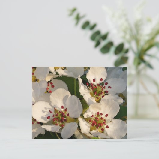 Birnen-Blüten Postkarte (Stehend Vorderseite)