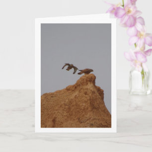 Birnen des Kestrel, Falco-Tinnunculus-Karte Karte