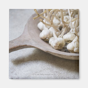 Birnen des Knoblauchs in einer Töpferwareschüsse Magnet