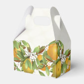 Birnen Frucht botanisch Geschenkschachtel (Rückseite)