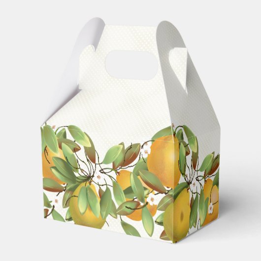 Birnen Frucht botanisch Geschenkschachtel (Rückseite)