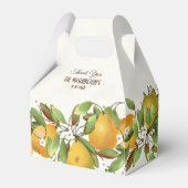 Birnen Frucht botanisch Geschenkschachtel (Vorderseite)